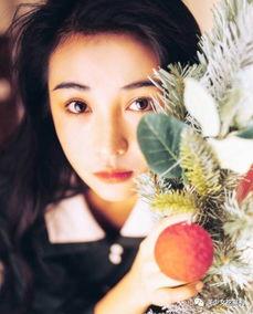 爆料娱乐圈的网红有哪些,揭秘幕后故事与真实面目  第2张